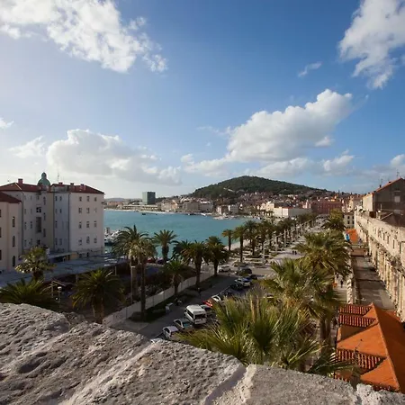 Spartion Marine Split